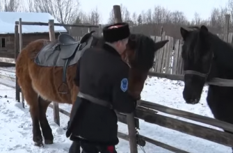 Якутский казак с лошадью